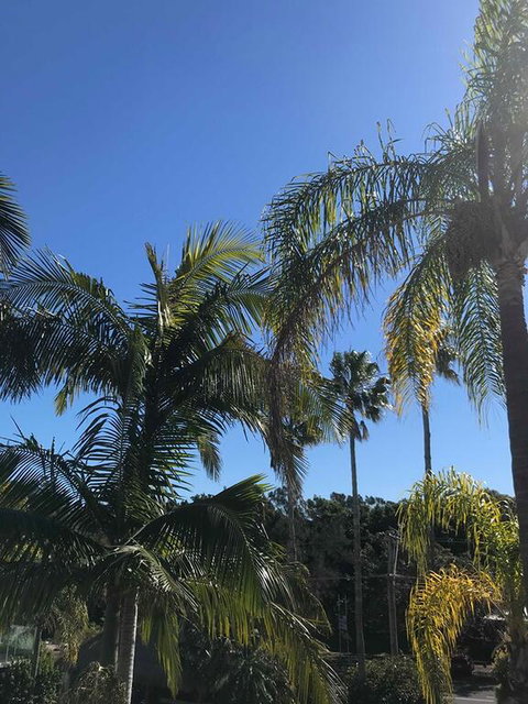 Terrigal Pacific Coastal Retreat - Accommodation Resorts 3