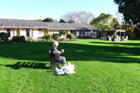 Willaway Motel Apartments - Accommodation Resorts 10