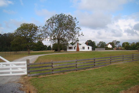 Buttons Cottage For Canyon & Rain Forest Walks With In House Dining - Accommodation Resorts 16