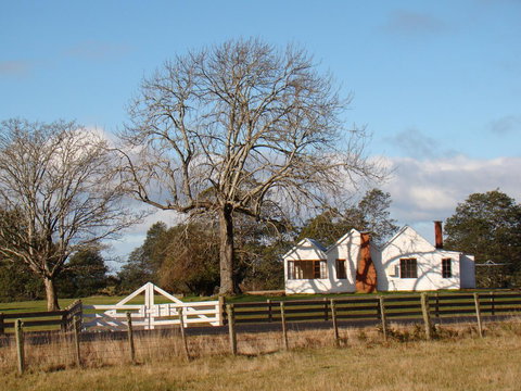 Buttons Cottage For Canyon & Rain Forest Walks With In House Dining - Accommodation Resorts 7