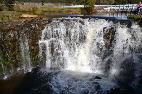 Buttons Cottage For Canyon & Rain Forest Walks With In House Dining - Accommodation Resorts 30