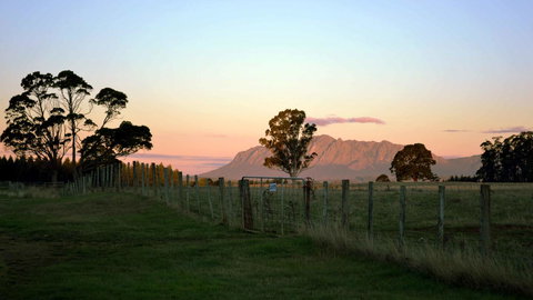 Buttons Cottage For Canyon & Rain Forest Walks With In House Dining - Accommodation Resorts 31