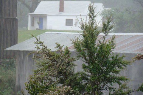 Buttons Cottage For Canyon & Rain Forest Walks With In House Dining - Accommodation Resorts 9