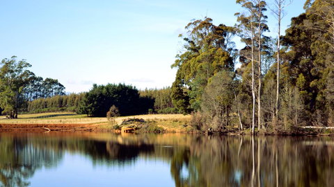 Buttons Cottage For Canyon & Rain Forest Walks With In House Dining - Accommodation Resorts 29