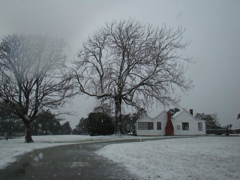 Buttons Cottage For Canyon & Rain Forest Walks With In House Dining - Accommodation Resorts 11