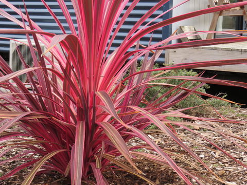 Captain Cook Holiday Park - Accommodation Resorts 15