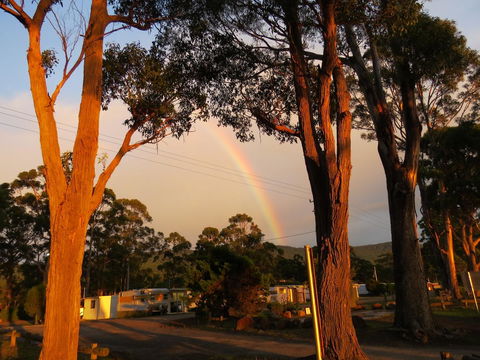 Captain Cook Holiday Park - Accommodation Resorts 12