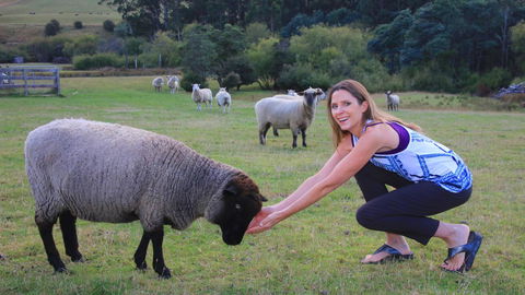 Ashdowns Of Dover - Accommodation Resorts 26