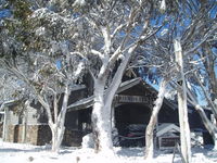 Book Dinner Plain Accommodation Vacations Accommodation Resorts Accommodation Resorts