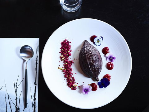 Astra Falls Creek - Accommodation Resorts 14