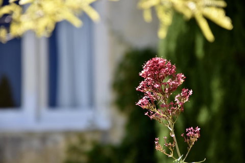 Villa Mallorca - Accommodation Resorts 28