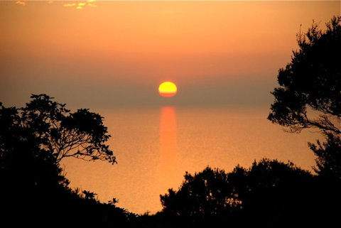 Villa Mallorca - Accommodation Resorts 41