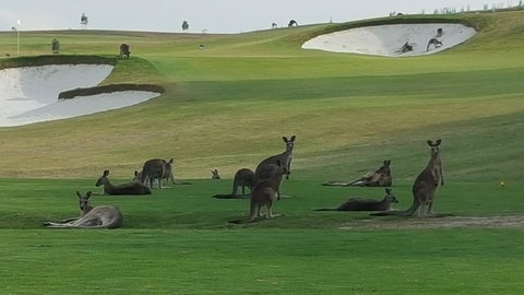 Yering Gorge Cottages - Accommodation Resorts 10