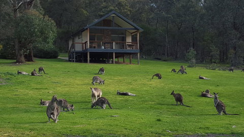 Yering Gorge Cottages - Accommodation Resorts 6