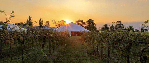 Bay Motel Safety Beach - Accommodation Resorts 21