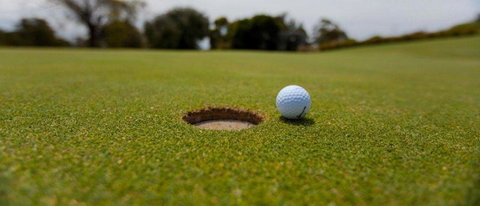 Bay Motel Safety Beach - Accommodation Resorts 14