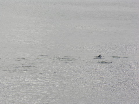 Clifftop Apartments Portland Vic - Accommodation Resorts 14