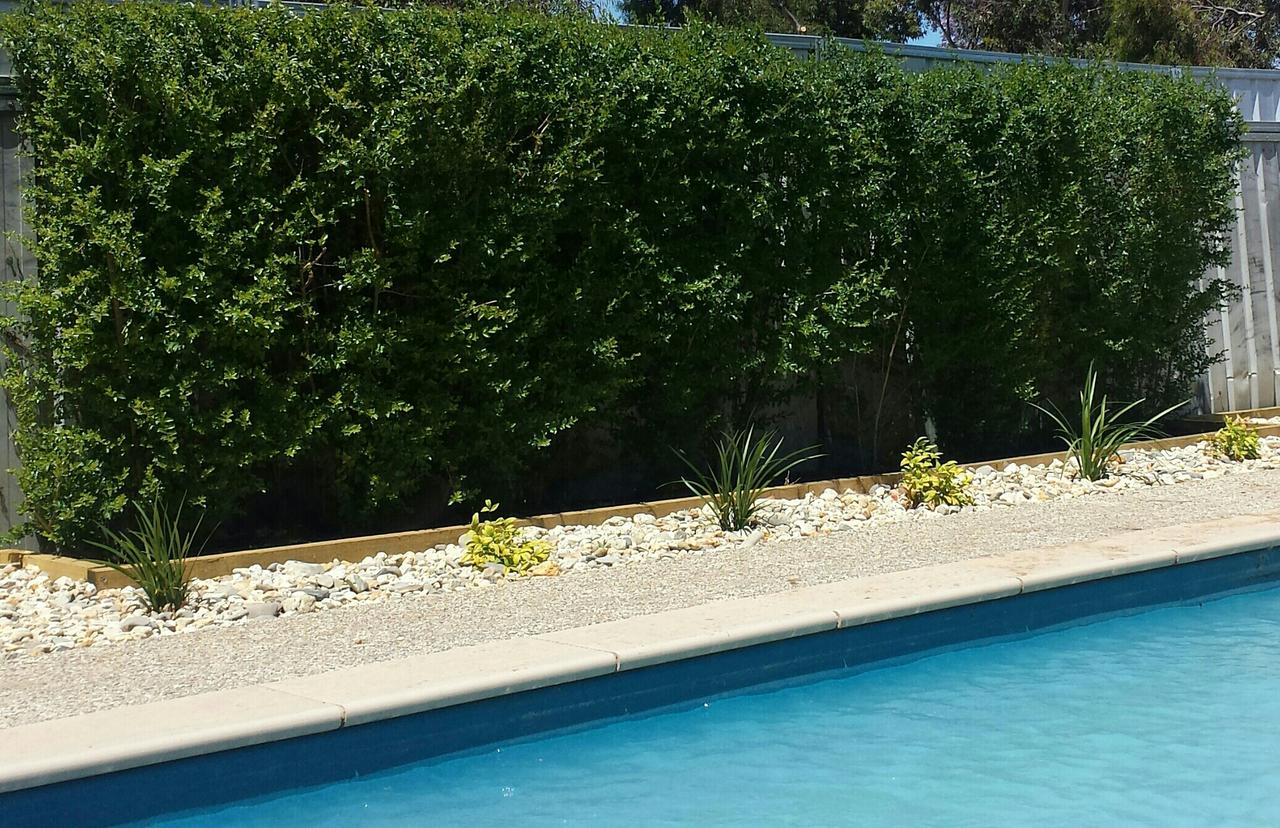 Annuello VIC Accommodation Resorts