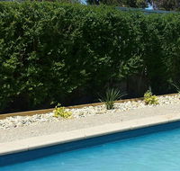 Robinvale Bridge Motel - Accommodation Resorts