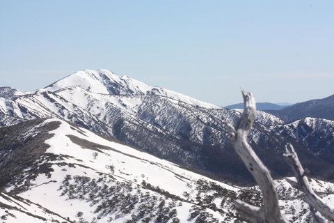 Shady Brook Cottages - Accommodation Resorts 4