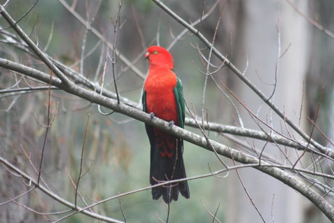 Shady Brook Cottages - Accommodation Resorts 33