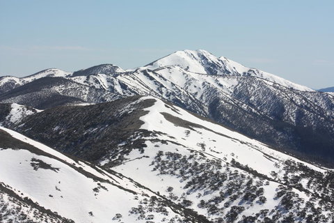 Shady Brook Cottages - Accommodation Resorts 31