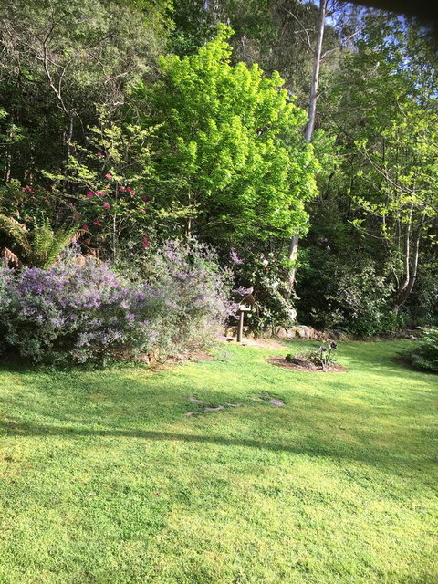 Shady Brook Cottages - Accommodation Resorts 6