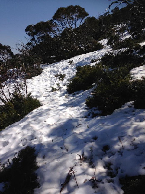 Shady Brook Cottages - Accommodation Resorts 11