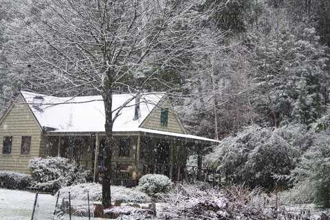 Shady Brook Cottages - Accommodation Resorts 30