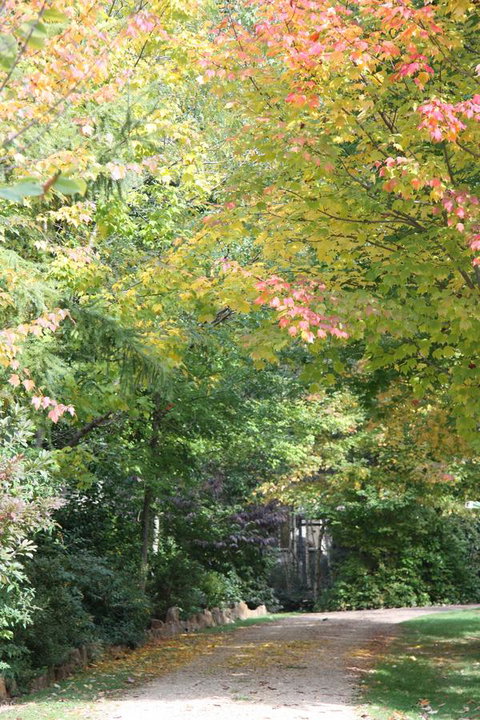 Shady Brook Cottages - Accommodation Resorts 14