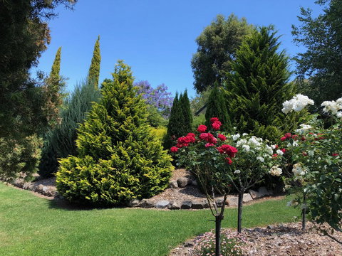 Valley View Lodge - Accommodation Resorts 20