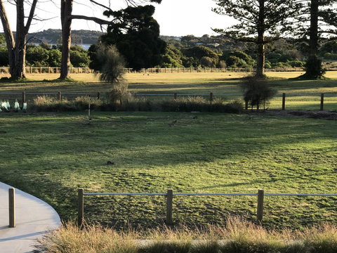 Bunya By The Sea - Accommodation Resorts 3