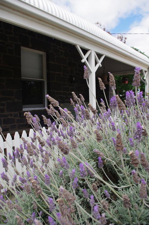 Little River Bed And Breakfast - Accommodation Resorts 30