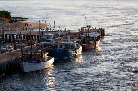 Arcadia Phillip Island - Accommodation Resorts 26