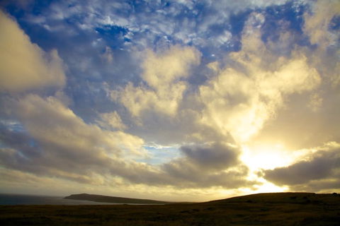 Arcadia Phillip Island - Accommodation Resorts 17