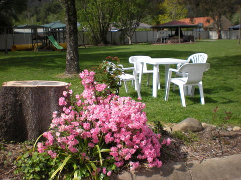 Willow Dene Holiday Apartments - Accommodation Resorts 24