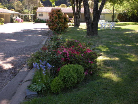 Willow Dene Holiday Apartments - Accommodation Resorts 22