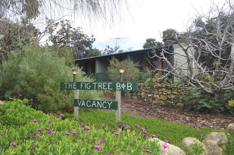 The Fig Tree B&B - Accommodation Resorts 0