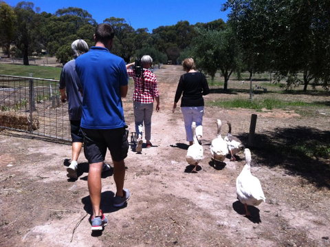 The Farm Willunga - Accommodation Resorts 1