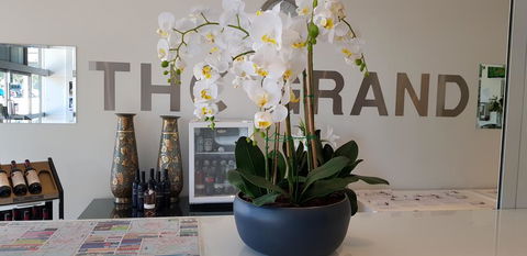 The Grand Motel - Accommodation Resorts 1