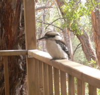 The Ledge Holiday House - Accommodation Resorts