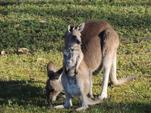 The Pouch B & B - Accommodation Resorts 2