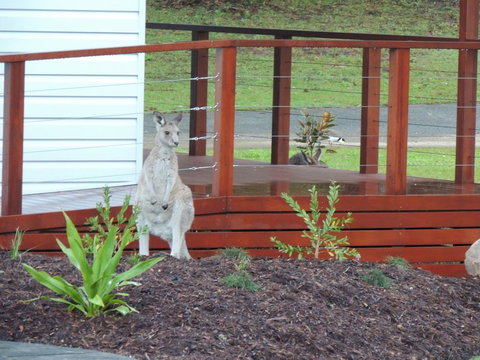 The Pouch B & B - Accommodation Resorts 1