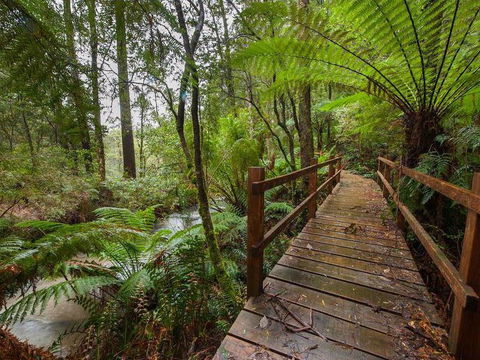 The Source, Otways - Accommodation Resorts 0