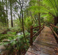 The Source Otways - Accommodation Resorts