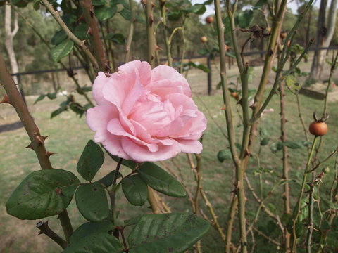 The Table Guest House - Accommodation Resorts 0