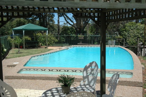 The Tree Motel - Accommodation Resorts 0