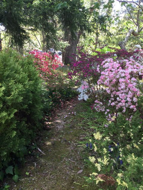 The Wentworth Retreat - Accommodation Resorts 3