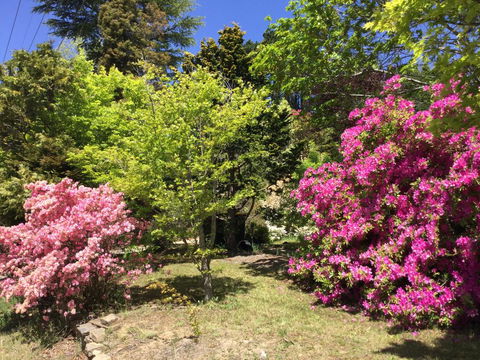 The Wentworth Retreat - Accommodation Resorts 1