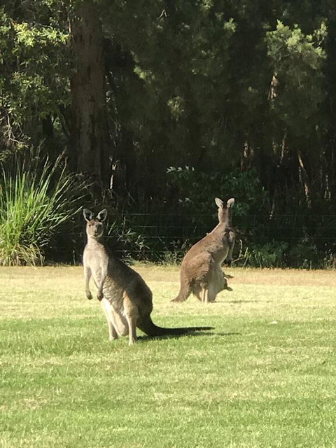 Tinglewood Cabins - Accommodation Resorts 2